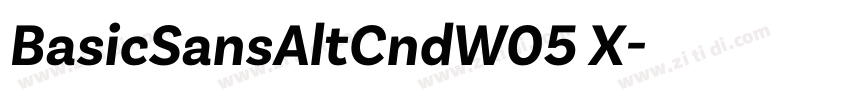 BasicSansAltCndW05 X字体转换 BasicSansAltCndW05 X字体转换